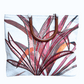 Port Douglas Days large red shopper bag with horseshoe handles and tropical leaf design